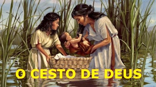 O cesto de Deus